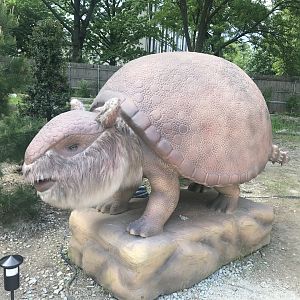 Stop 14: Glyptodon