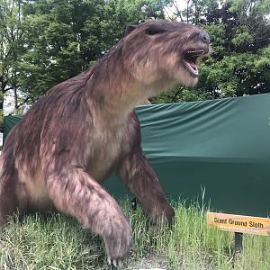 Stop 15: Giant Ground Sloth