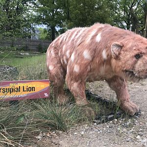 Stop 18: Thylacoleo