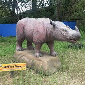 Stop 20: Sumatran Rhino