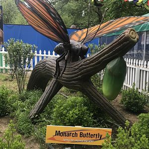 Stop 23: Monarch Butterfly