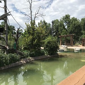 Toyota Elephant Passage