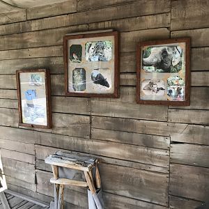 Toyota Elephant Passage