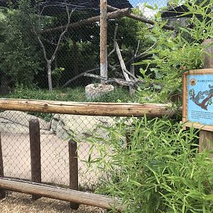 Toyota Elephant Passage - Clouded Leopard exhibit
