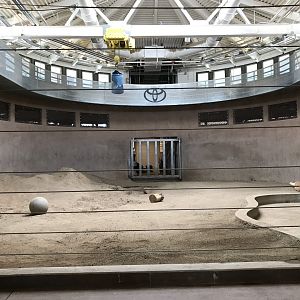 Toyota Elephant Passage - Elephant day room