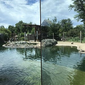 Toyota Elephant Passage