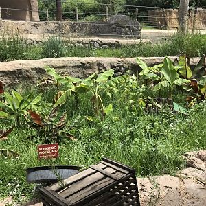 Toyota Elephant Passage