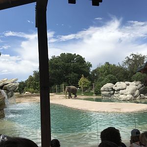 Toyota Elephant Passage