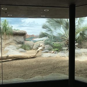 Tropical Discovery - Komodo Dragon exhibit