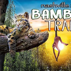 The Bamboo Trail | Zoo Tours