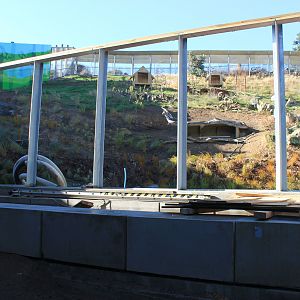 lemur enclosure construction