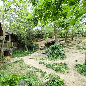 May. 2021 - Wolf Woods - Mexican Wolf Exhibit