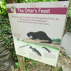 May. 2021 - Wolf Woods - River Otter Signage