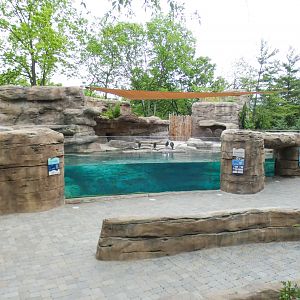 May. 2021 - Penguin Point (New 2020)