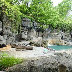 May. 2021 - Lords of the Arctic - Spectacled Bear Exhibit (Former Polar Bear)
