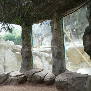 May. 2021 - Lords of the Arctic - Empty Polar Bear Pool