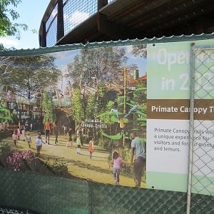 Primate Canopy Trails - Opening 2021