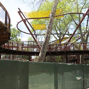 Primate Canopy Trails - Opening 2021