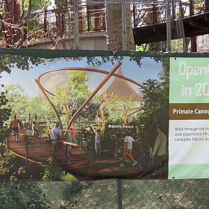 Primate Canopy Trails - Opening 2021