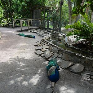 Old Aviary