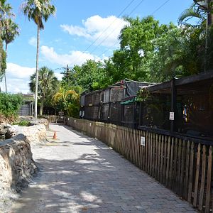Entrance Walkway with Lemurs, Ducks, Waterfalls, and Floridian Humans