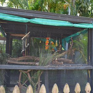 Parrot Exhibit (Macaw)