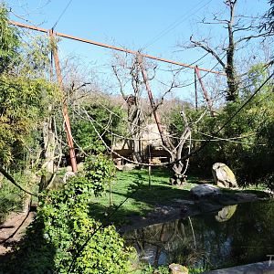 Sanctuaire des okapis [2015]