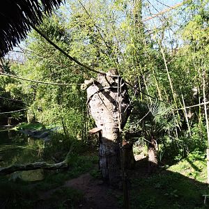 Sanctuaire des okapis [2015]