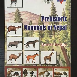 Prehistoric Mammals of Nepal