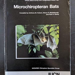 Global Status Survey and Conservation Action Plan - Microchiropteran Bats