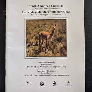 South American Camelids - An Action Plan for their Conservation