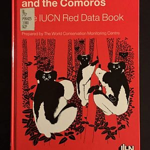 Lemurs of Madagascar and the Comoros