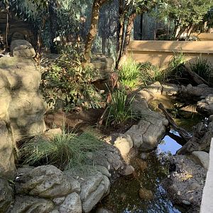 Macquarie Turtle Enclosure