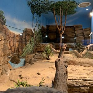 Olive Python Enclosure