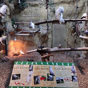 Bird and tortoise exhibit