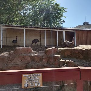 Outdoor main enclosure