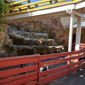 Outdoor main enclosure