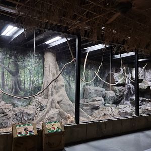 View of large porcupine enclosure