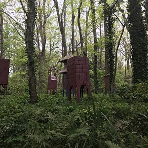 North Carolina Zoo: Extinct Bird Garden