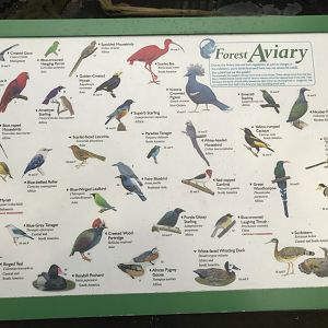 North Carolina Zoo: Aviary Bird Guide