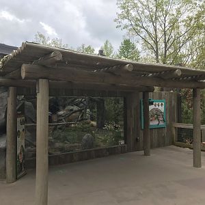 North Carolina Zoo: Ocelot Exhibit