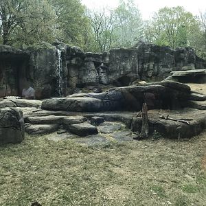 North Carolina Zoo: Grizzly Bear Exhibit