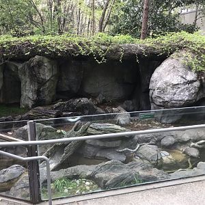 North Carolina Zoo: River Otter Exhibit