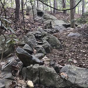 North Carolina Zoo: Abandoned Artificial Stream at Streamside