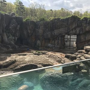 North Carolina Zoo: Old Polar Bear Exhibit