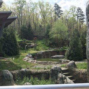 North Carolina Zoo: Polar Bear Exhibit Expansion