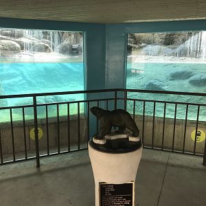 North Carolina Zoo: Polar Bear Underwater Viewing