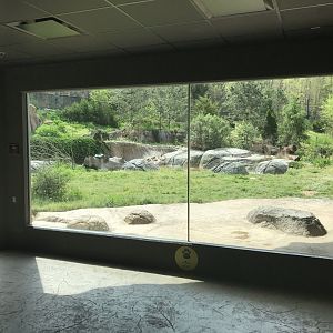 North Carolina Zoo: Polar Bear Exhibit Expansion