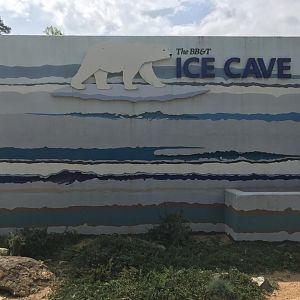 North Carolina Zoo: Polar Bear Ice Cave