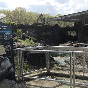 North Carolina Zoo: Seal and Sea Lion Exhibit